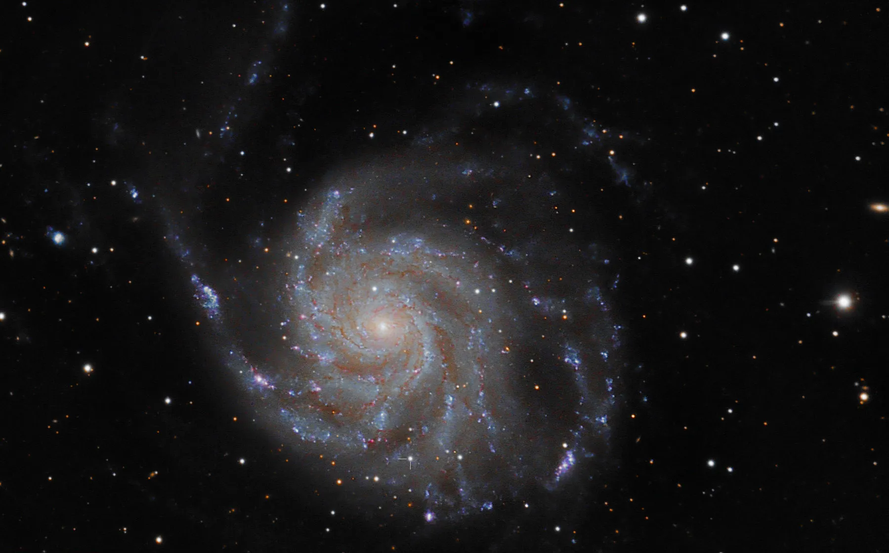 Supernova en M101
