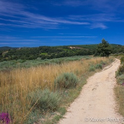 Camí de Sant Jaume