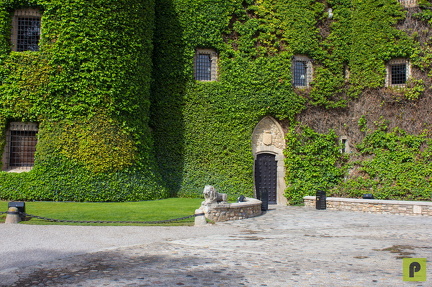 IMG 0906