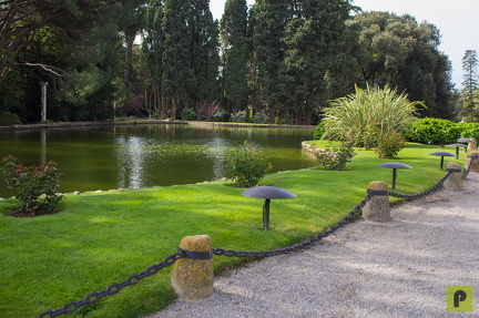 IMG 0907