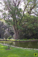 IMG 0909