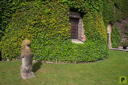 IMG 0910