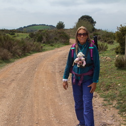 Rutes