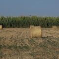 IMG 7972
