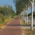 IMG 7988