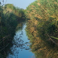IMG 7989