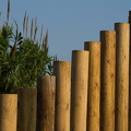 IMG 7999