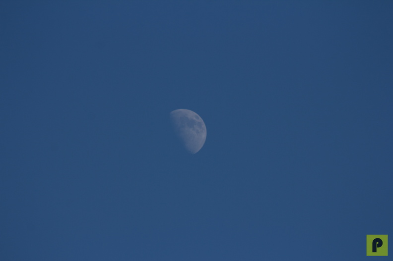 IMG_8008.jpg