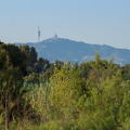 IMG 8016