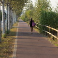 IMG 8051