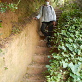 IMG 6730