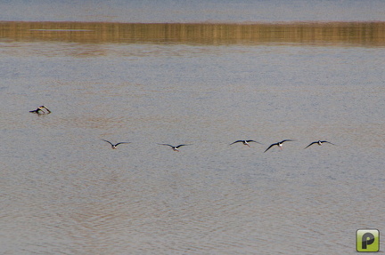 IMG 6909