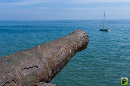 IMG 7485