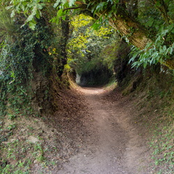 Camí de Sant Jaume, camí Francès