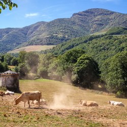 Camí de Sant Jaume