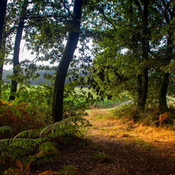 Camí de Sant Jaume