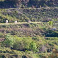 IMG 3409