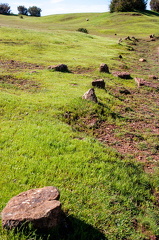 IMG 3445