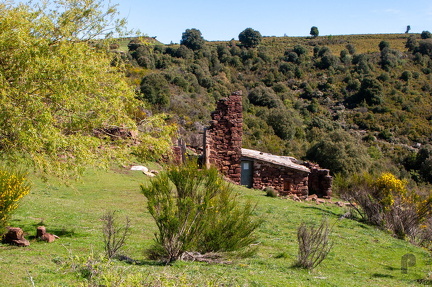 IMG 3453