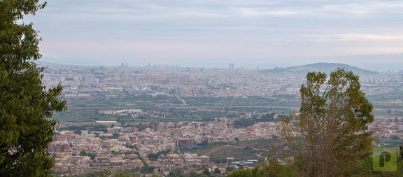IMG 7518