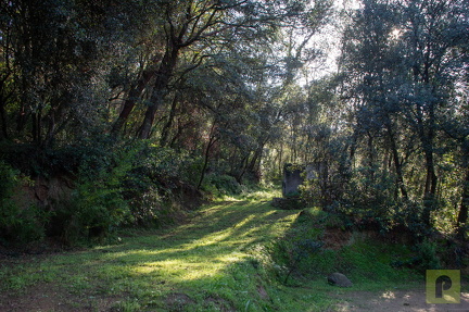 IMG 8170-3