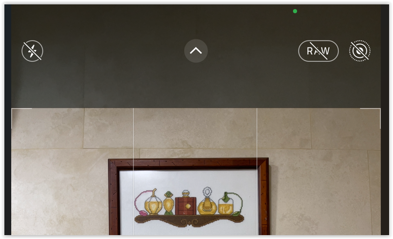Camara del iPhone, botón RAW