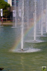 IMG 2547